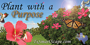 Plant with a Purpose graphic B