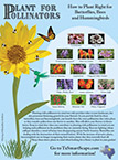 Plant for Pollinators flyer