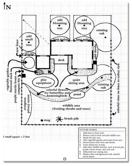 Functional map