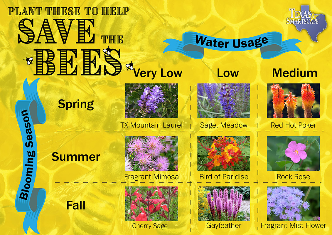 Bee-friendly plants