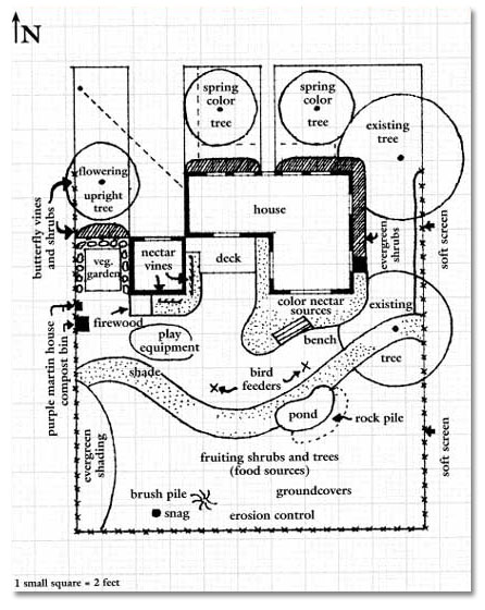 Functional map