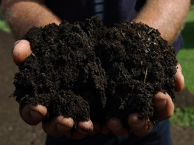 Soil and compost